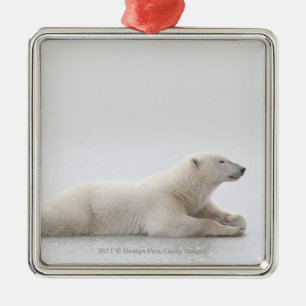 Polar Bear Laying On A Lake Of Ice Metal Ornament