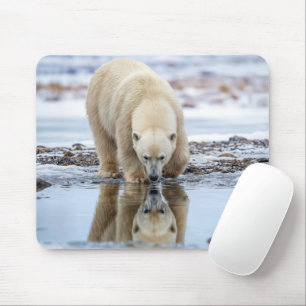 Polar Bear Looking at its Reflection Mouse Pad