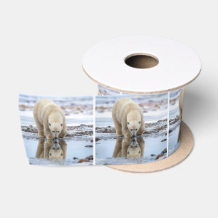 Polar Bear Looking at its Reflection Satin Ribbon