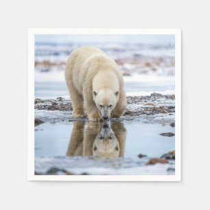 Polar Bear Looking In a Melting Ice Puddle Napkin