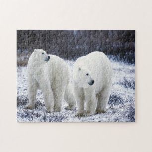 Polar Bear Love Jigsaw Puzzle