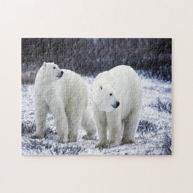Polar Bear Love Jigsaw Puzzle (Horizontal)