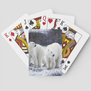Polar Bear Love Playing Cards
