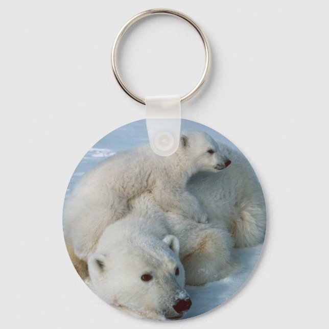 Polar Bear Lovers Gifts Key Ring (Front)