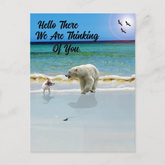 Polar Bear Meets Jack Russell, Hello Postcard (Front)