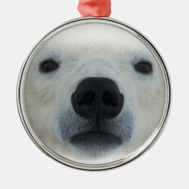 Polar Bear Metal Ornament (Front)
