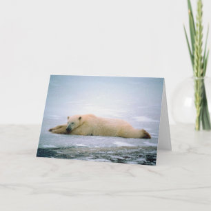 Polar Bear Missing You Card