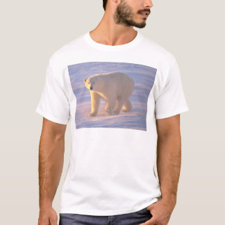 Polar Bear Morn 2 T-Shirt