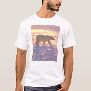 Polar Bear Morn 3 T-Shirt