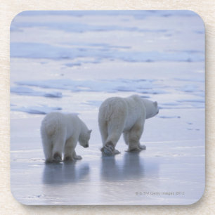 Polar Bear Mother and Cub Coaster