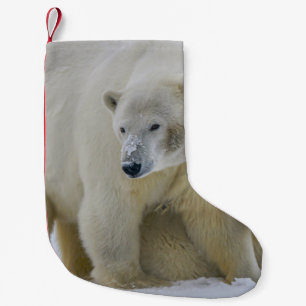 POLAR BEAR MOTHER AND CUB NORTHERN ALASKA SMALL CHRISTMAS STOCKING