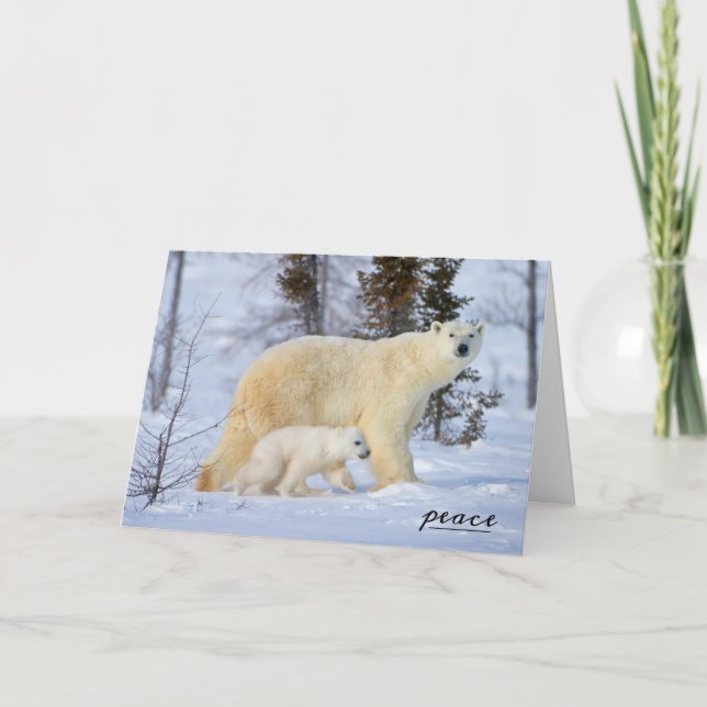 Polar Bear Mother and Cub on the Tundra Holiday Card (Front)