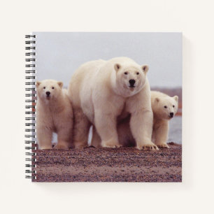 Polar Bear Mother and Cubs Photo Notebook