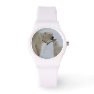 Polar Bear Mother with Cub Watch
