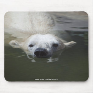 Polar Bear Mouse Pad