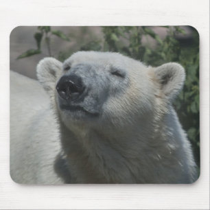 Polar Bear Mouse Pad