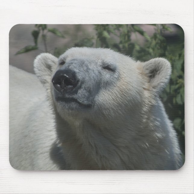 Polar Bear Mouse Pad (Front)