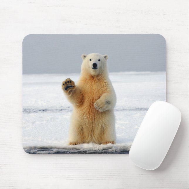 Polar Bear Mouse Pad (With Mouse)