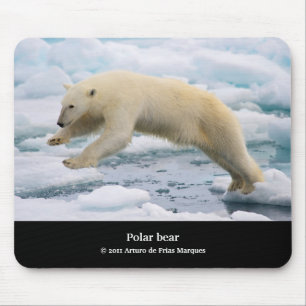 polar bear mouse pad