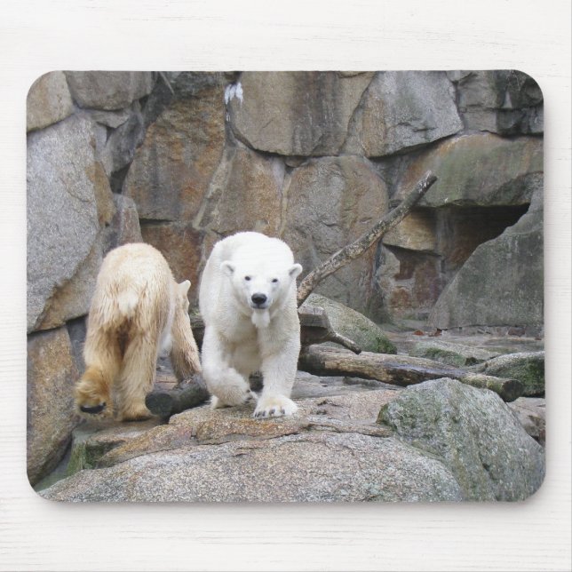 POLAR BEAR mousepad (Front)