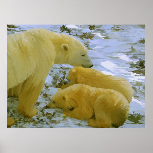 Polar Bear mum and her cubs paper print