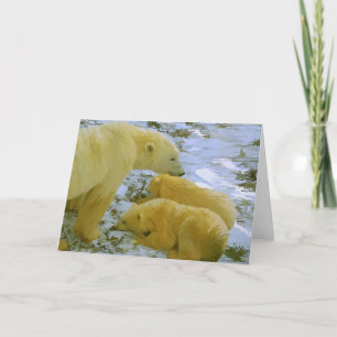 Polar Bear mum and her cubs stationery blank cards