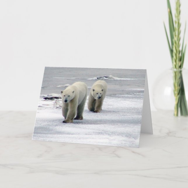 Polar Bear Mum & Cub Card (Front)