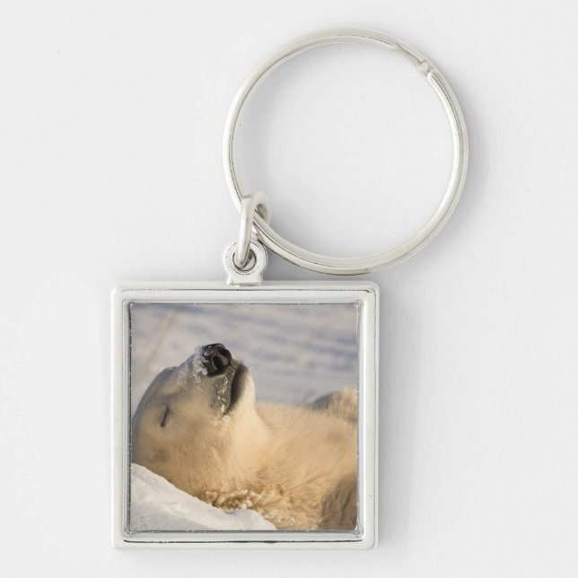 Polar Bear Nap Key Ring (Front)