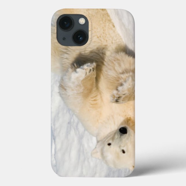 Polar Bear near Hudson Bay Case-Mate iPhone Case (Back)
