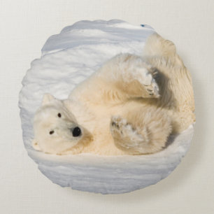 Polar Bear near Hudson Bay Round Cushion