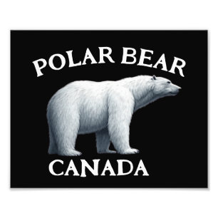 POLAR BEAR PHOTO PRINT