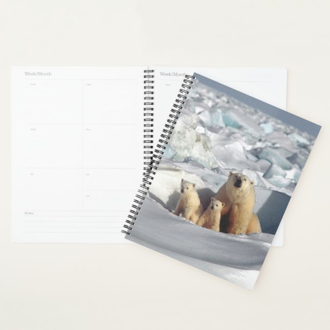Polar Bear Planner (Display)