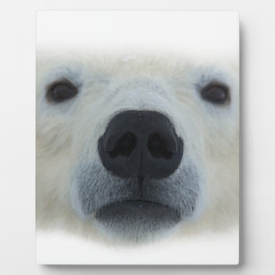 Polar Bear Plaque