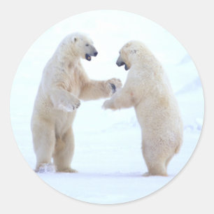 Polar Bear Play Classic Round Sticker
