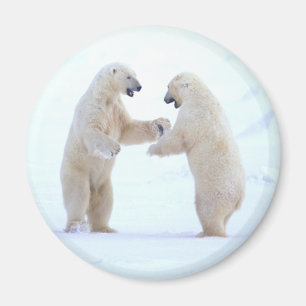 Polar Bear Play Magnet