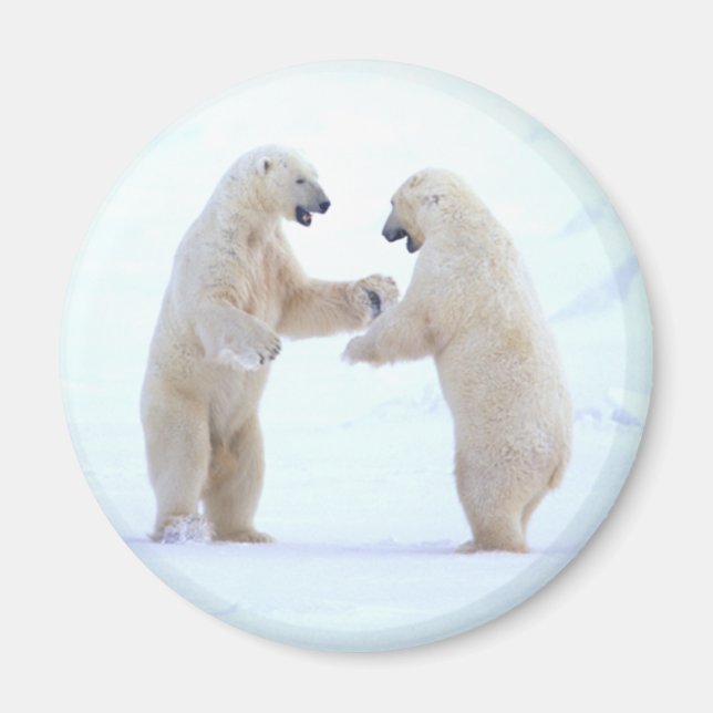Polar Bear Play Magnet (Front)