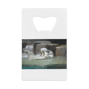 Polar Bear Playing with a Jug