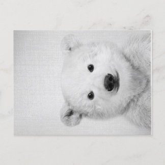 Polar-bear, Polar-bear Canvas Gift for Her  Announcement Postcard