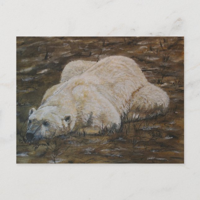 Polar Bear Post Card (Front)