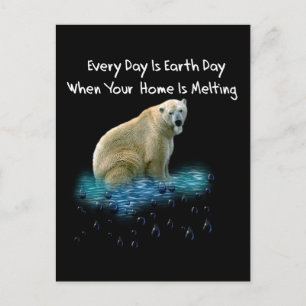 Polar Bear Postcard