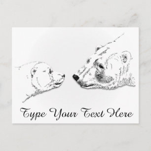 Polar Bear Postcard Mother & Cub Bear Postcards