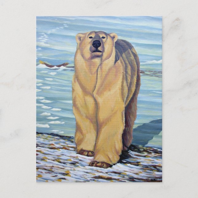 Polar Bear Postcard Polar Bear Art Postcards (Front)