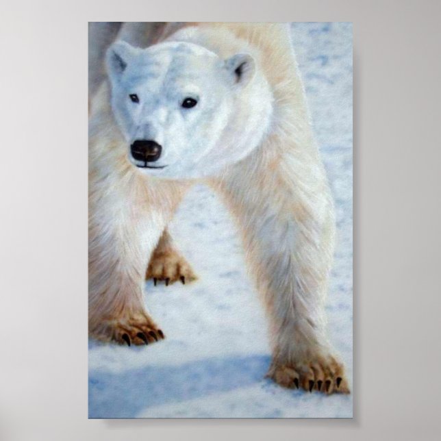 Polar Bear Poster (Front)