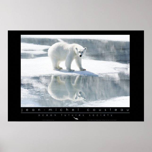 Polar Bear Poster (Front)