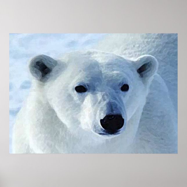 Polar Bear Print (Front)