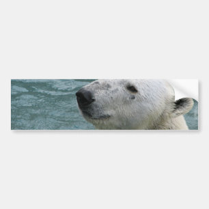 Polar Bear Profile Bumper Stickers