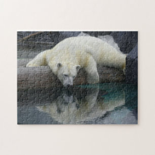 Polar Bear Puzzle