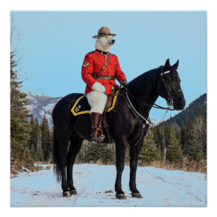 Polar Bear RCMP Corporal On Horseback Poster