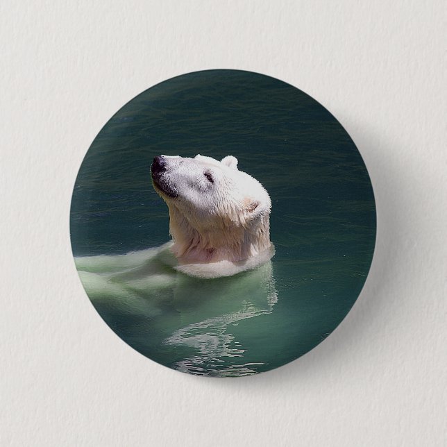 Polar bear resting 6 cm round badge (Front)