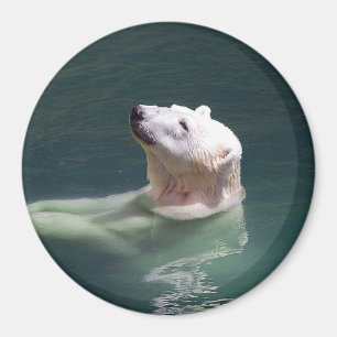 Polar bear resting magnet
